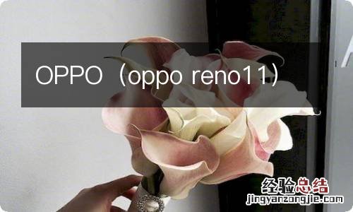 oppo reno11 OPPO