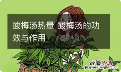 酸梅汤热量 酸梅汤的功效与作用