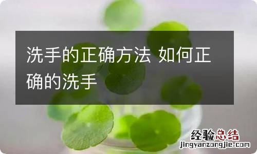 洗手的正确方法 如何正确的洗手