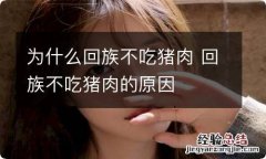 为什么回族不吃猪肉 回族不吃猪肉的原因