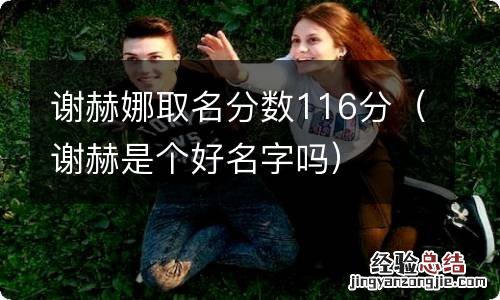 谢赫是个好名字吗 谢赫娜取名分数116分