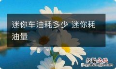 迷你车油耗多少 迷你耗油量