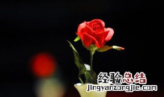 玫瑰花像什么 黄色的玫瑰花像什么