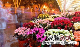 送什么花给初恋 送什么花表示初恋