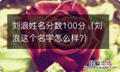 刘浪这个名字怎么样? 刘浪姓名分数100分