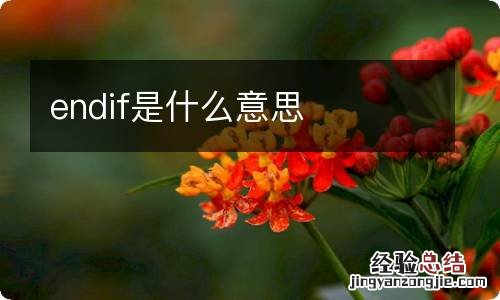 endif是什么意思