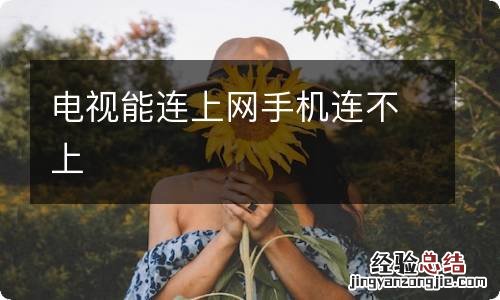 电视能连上网手机连不上