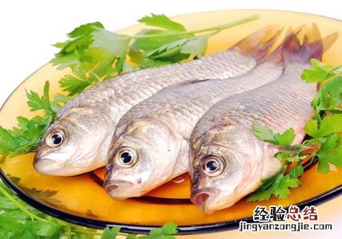 宝宝吃什么变聪明 宝宝吃什么变聪明又聪明