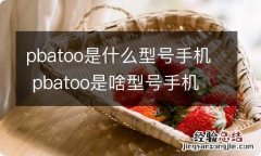 pbatoo是什么型号手机 pbatoo是啥型号手机