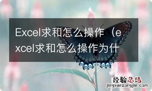 excel求和怎么操作为什么是0 Excel求和怎么操作