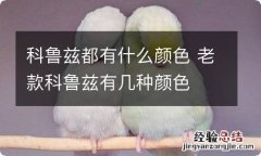 科鲁兹都有什么颜色 老款科鲁兹有几种颜色