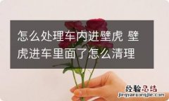 怎么处理车内进壁虎 壁虎进车里面了怎么清理出来