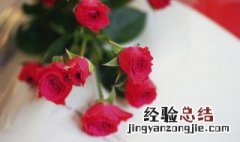 玫瑰花如何存放 存放玫瑰方法