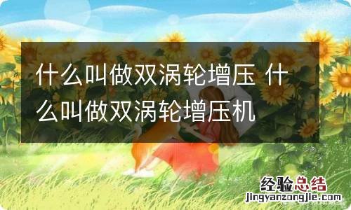 什么叫做双涡轮增压 什么叫做双涡轮增压机