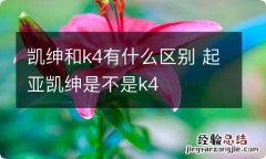 凯绅和k4有什么区别 起亚凯绅是不是k4