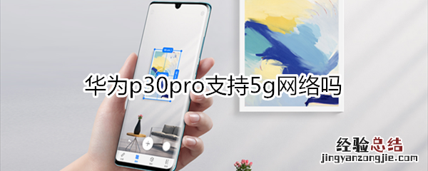 华为p30pro支持5g网络吗