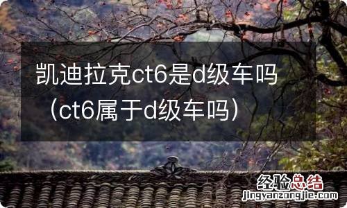 ct6属于d级车吗 凯迪拉克ct6是d级车吗