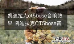 凯迪拉克ct5bose音响效果 凯迪拉克CT5bose音响