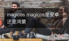 magicos magicos是安卓还是鸿蒙