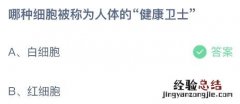 蚂蚁庄园今日答案最新5.17：哪种细胞被称为人体的健康卫士？白细胞还是红细胞