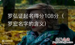 罗宏名字的含义 罗弘证起名得分108分