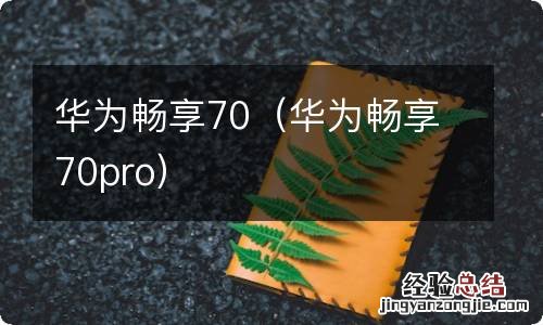 华为畅享70pro 华为畅享70