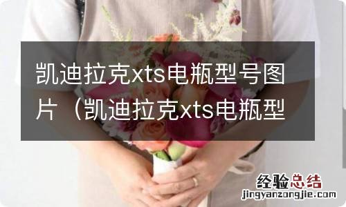 凯迪拉克xts电瓶型号规格,凯迪拉克xts蓄电池容量 凯迪拉克xts电瓶型号图片