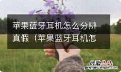 苹果蓝牙耳机怎么分辨真假视频 苹果蓝牙耳机怎么分辨真假