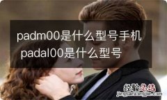 padm00是什么型号手机 padal00是什么型号