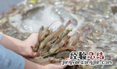 新鲜河虾怎么冰箱保存 河虾怎么保存才新鲜