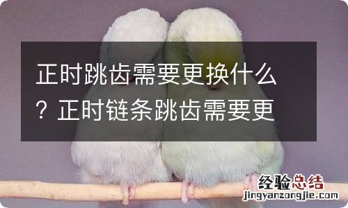 正时跳齿需要更换什么? 正时链条跳齿需要更换吗