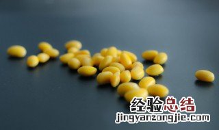 黄豆种子怎么种植 黄豆种子怎么种植方法