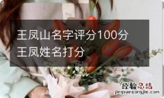 王凤山名字评分100分 王凤姓名打分