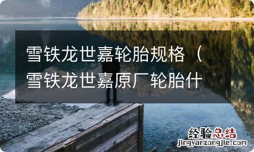 雪铁龙世嘉原厂轮胎什么品牌 雪铁龙世嘉轮胎规格