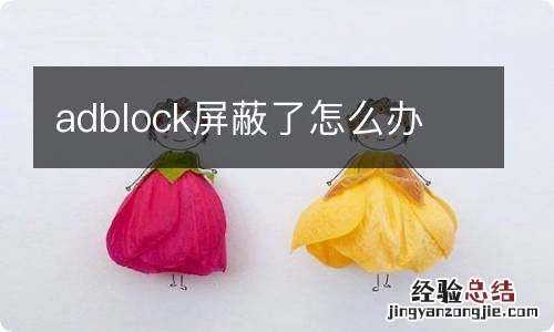 adblock屏蔽了怎么办