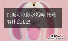 纯碱可以除水垢吗 纯碱有什么用途