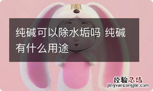 纯碱可以除水垢吗 纯碱有什么用途