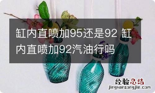 缸内直喷加95还是92 缸内直喷加92汽油行吗