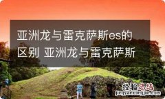 亚洲龙与雷克萨斯es的区别 亚洲龙与雷克萨斯es的区别