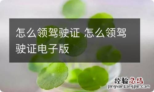 怎么领驾驶证 怎么领驾驶证电子版