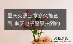 重庆交通违章多久能查到 重庆电子警察拍到的违章几天可以查到