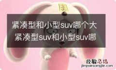 紧凑型和小型suv哪个大 紧凑型suv和小型suv哪个大一点