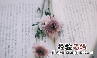 关于责任的句子 责任句子推荐