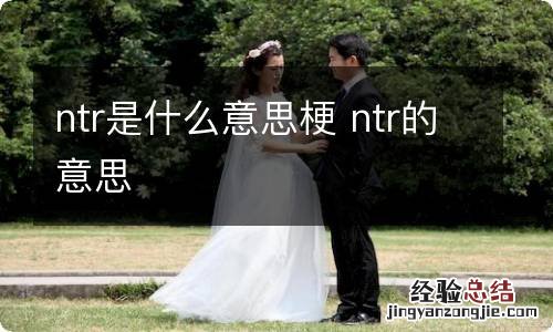 ntr是什么意思梗 ntr的意思
