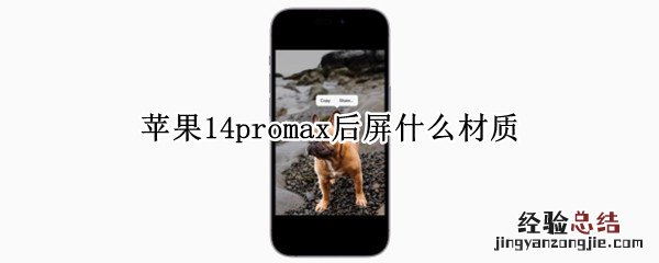 苹果14promax后屏什么材质 苹果12promax后屏是什么材质