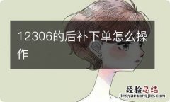 12306的后补下单怎么操作