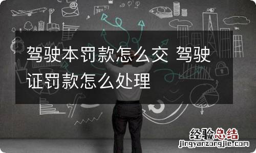 驾驶本罚款怎么交 驾驶证罚款怎么处理