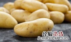 冬储土豆怎么不长芽 冬季储存土豆怎么能不生牙子