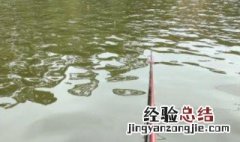 小雨钓鱼可以吗 下小雨鱼好钓吗