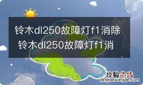 铃木dl250故障灯f1消除 铃木dl250故障灯f1消除打不着火